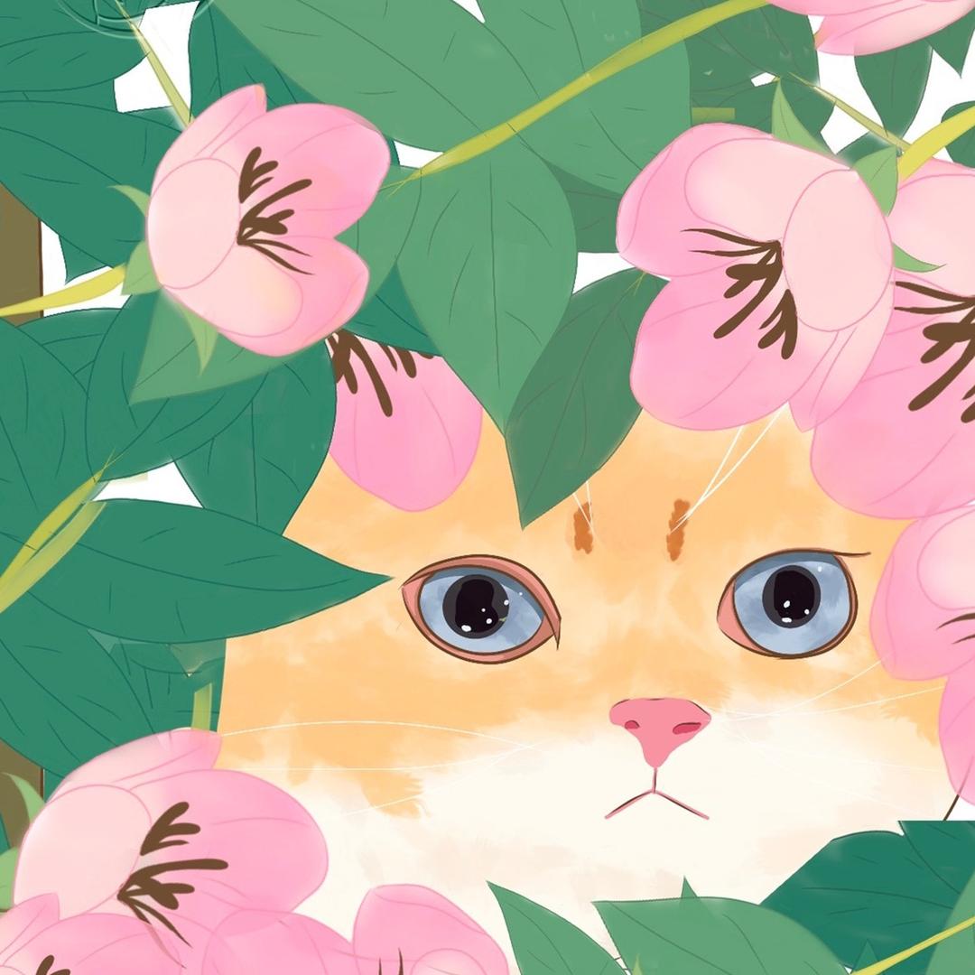 🕊️小马虎