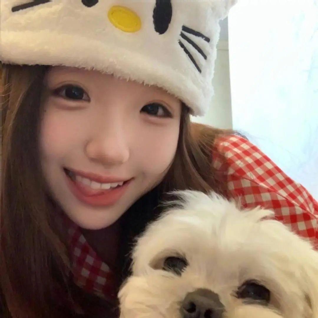 笨蛋