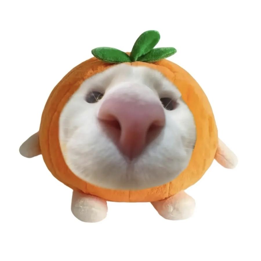 ≡ω≡