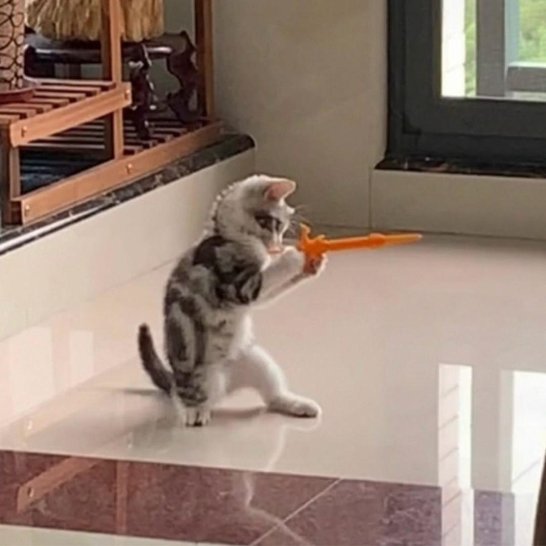 CF张万森