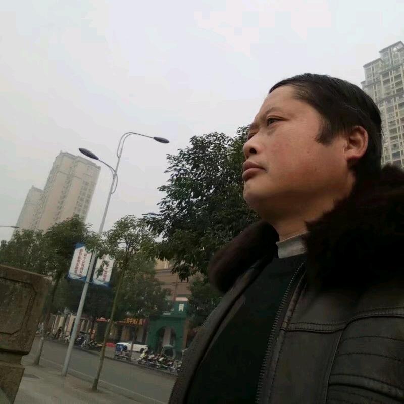 糊涂羊