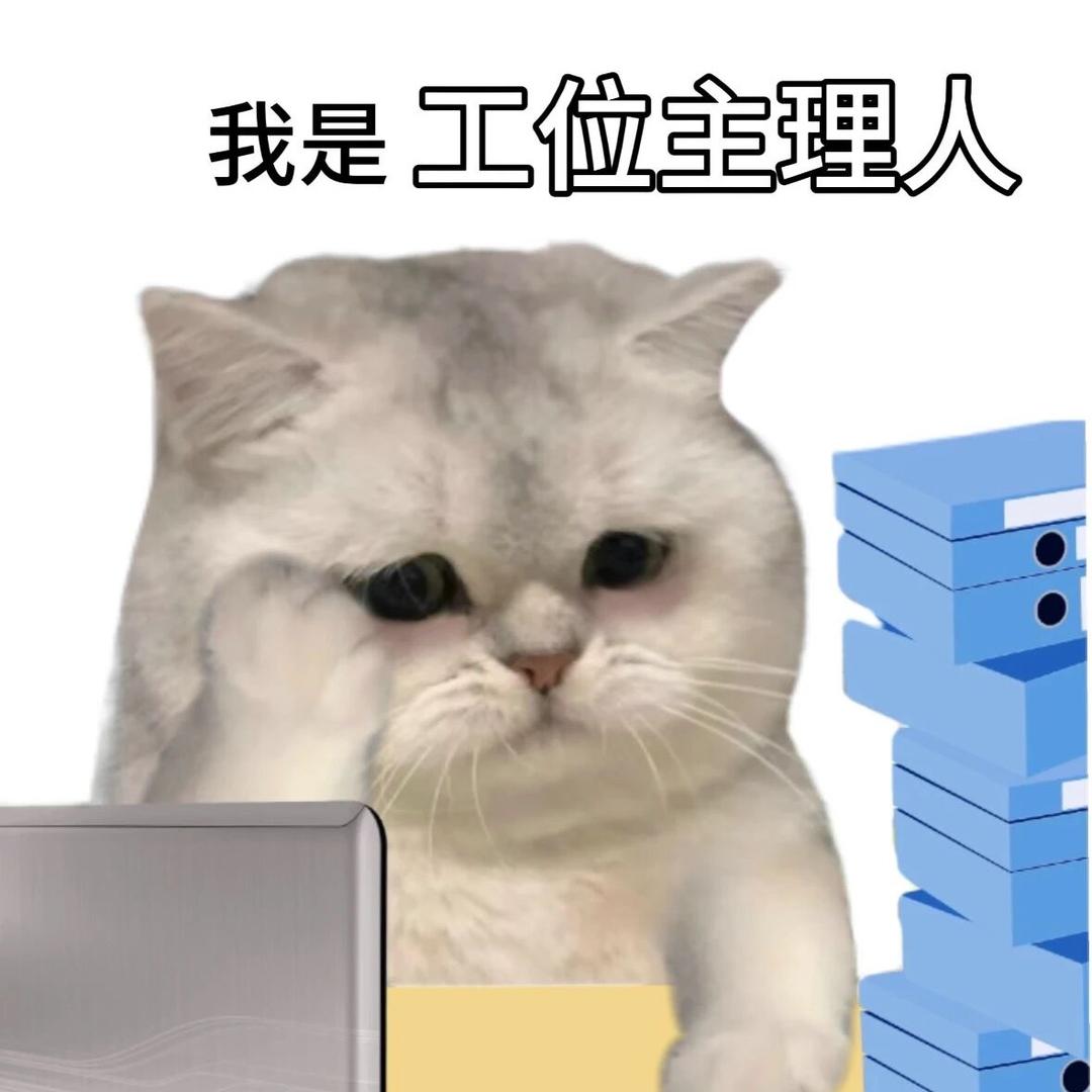 不失眠（云顶之弈）