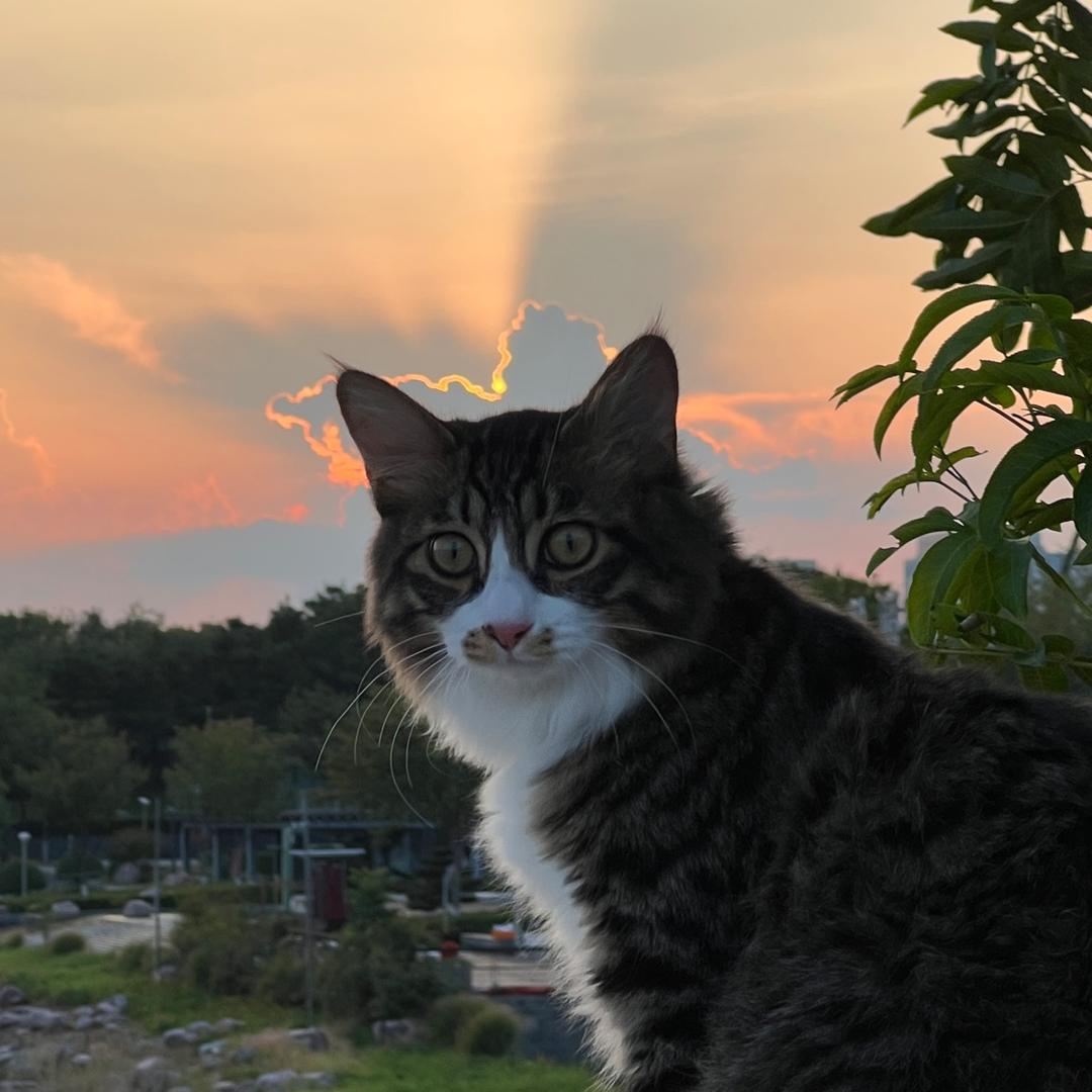 小满🐱