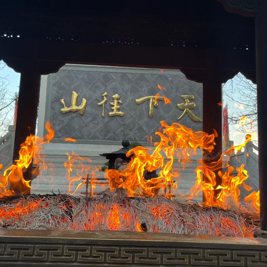 她们叫我金毛狮王