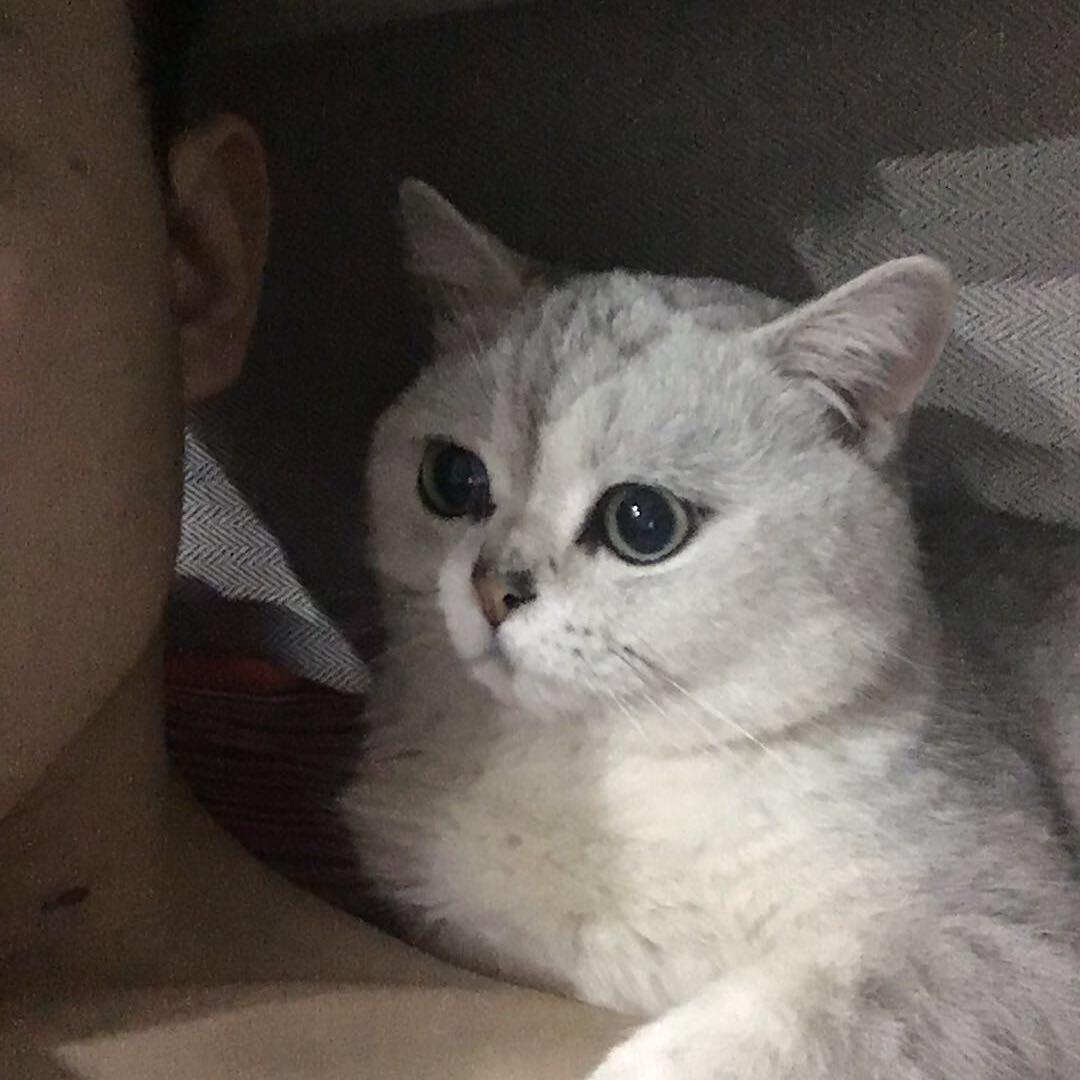 Awei（永劫无间）