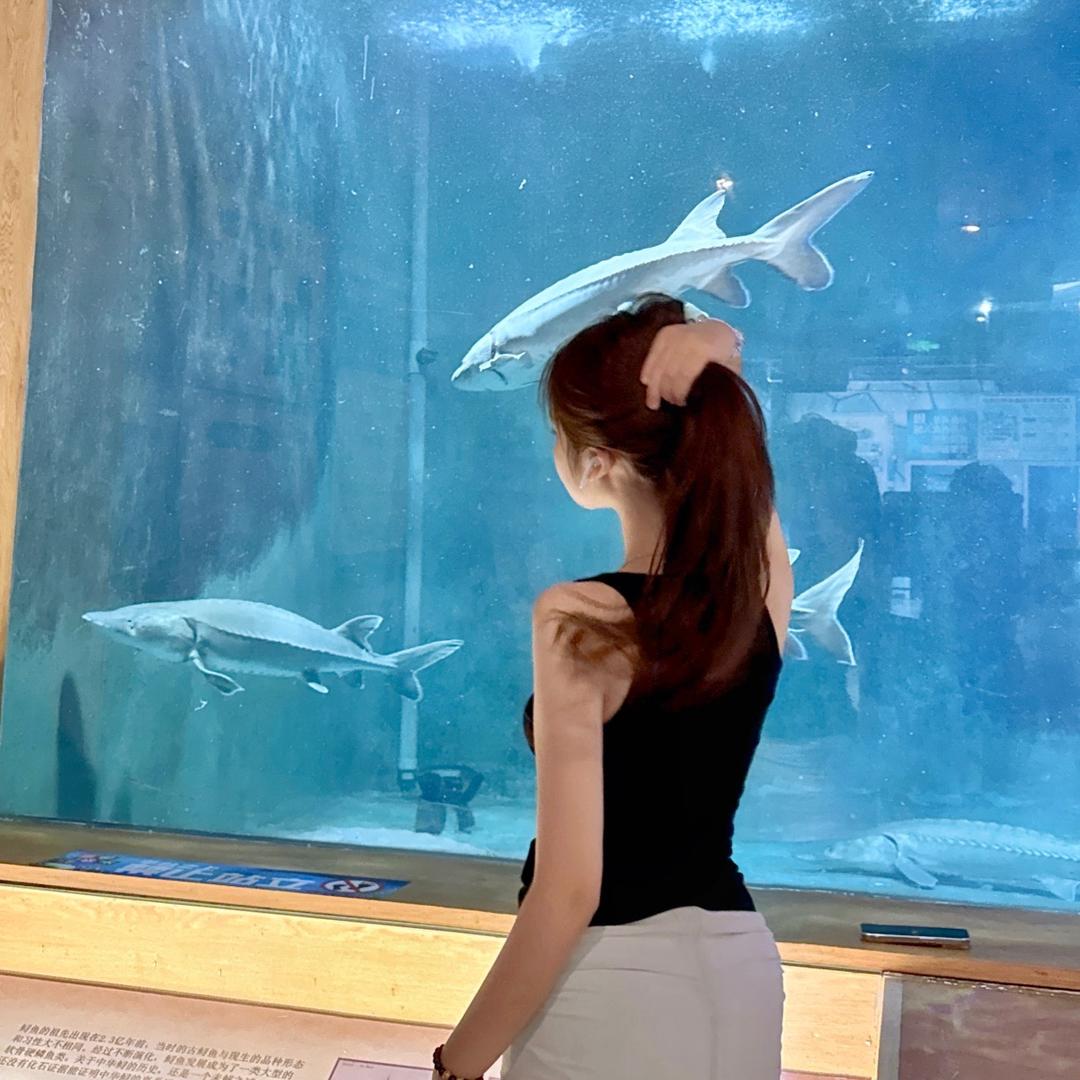 陕北女娃娃的volg