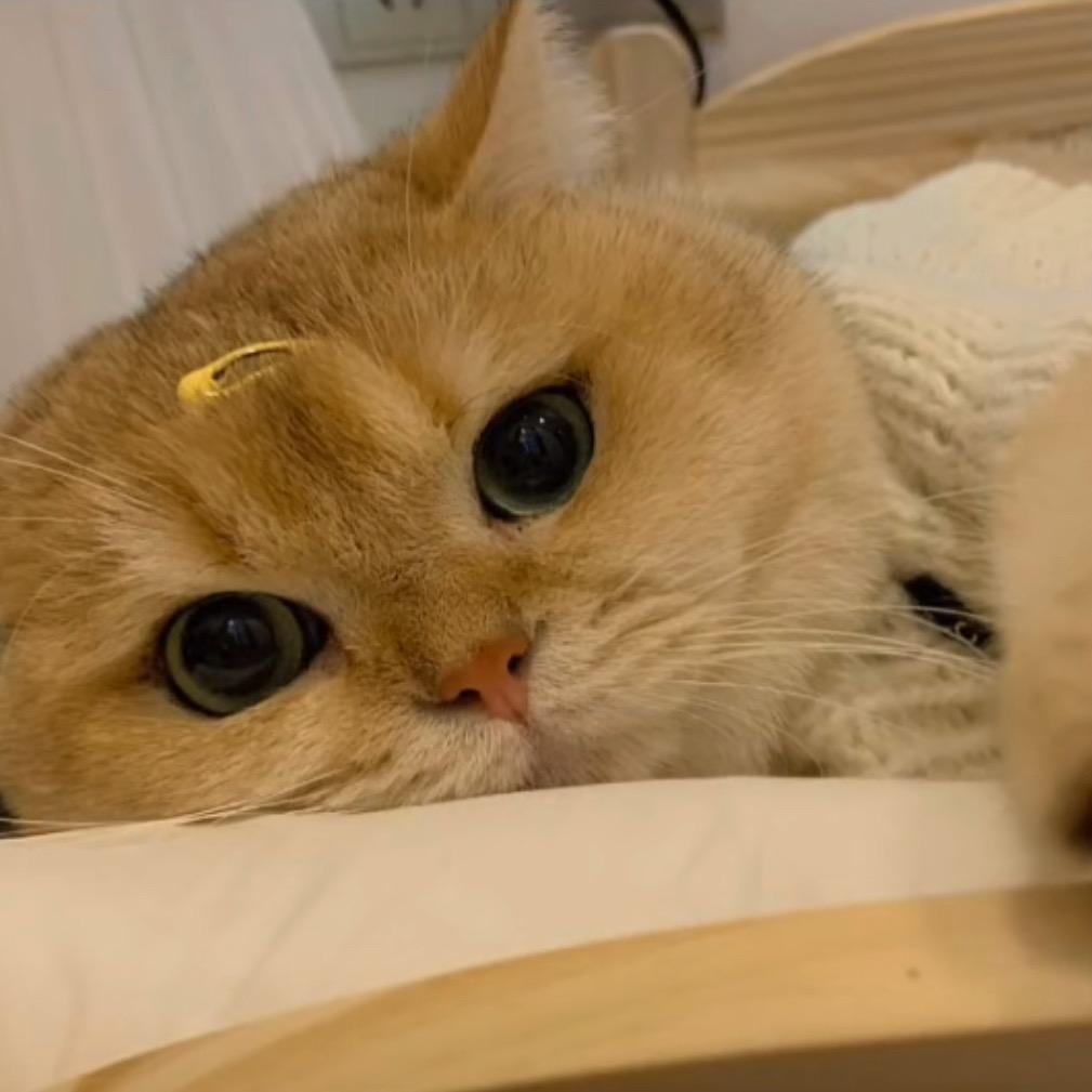 H北周慧敏。