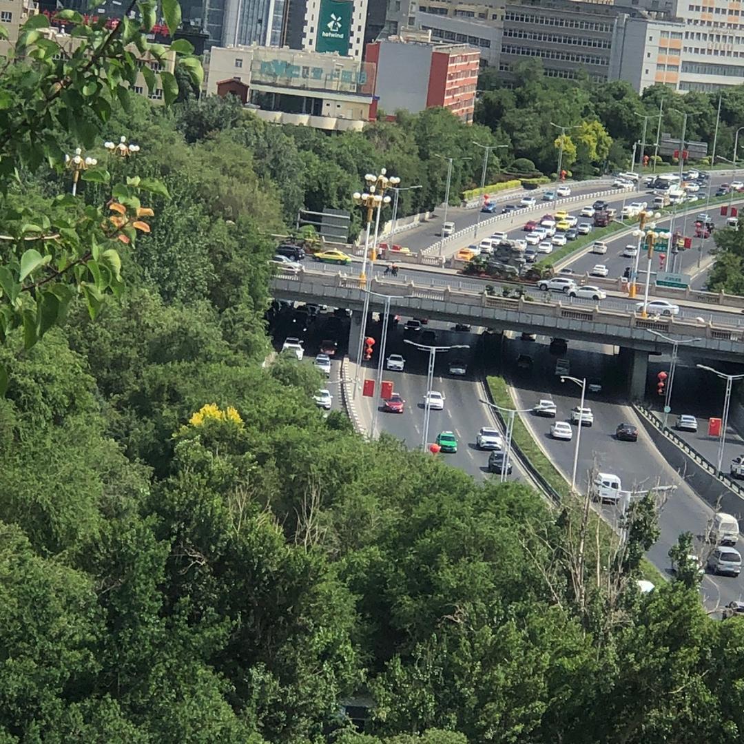 单身找相好