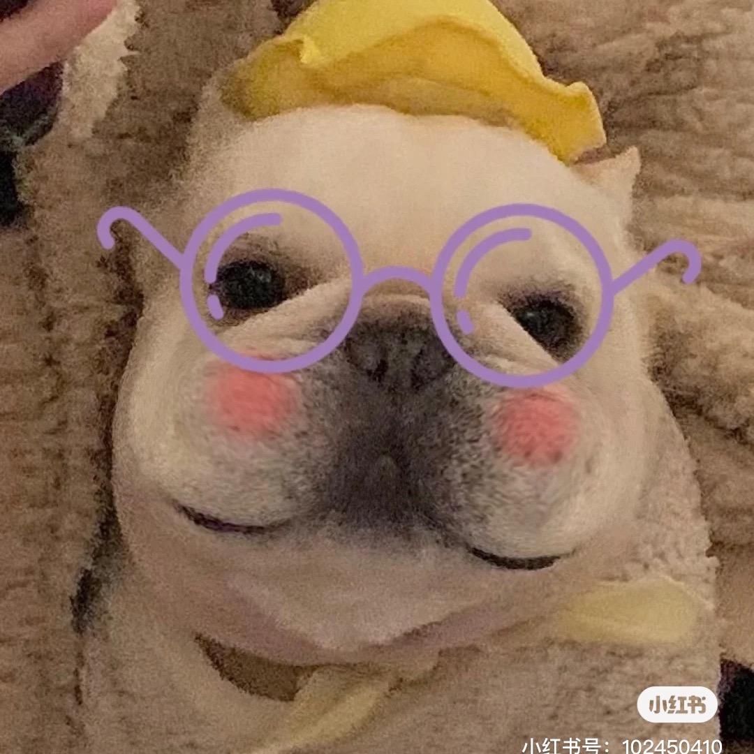 波妞儿