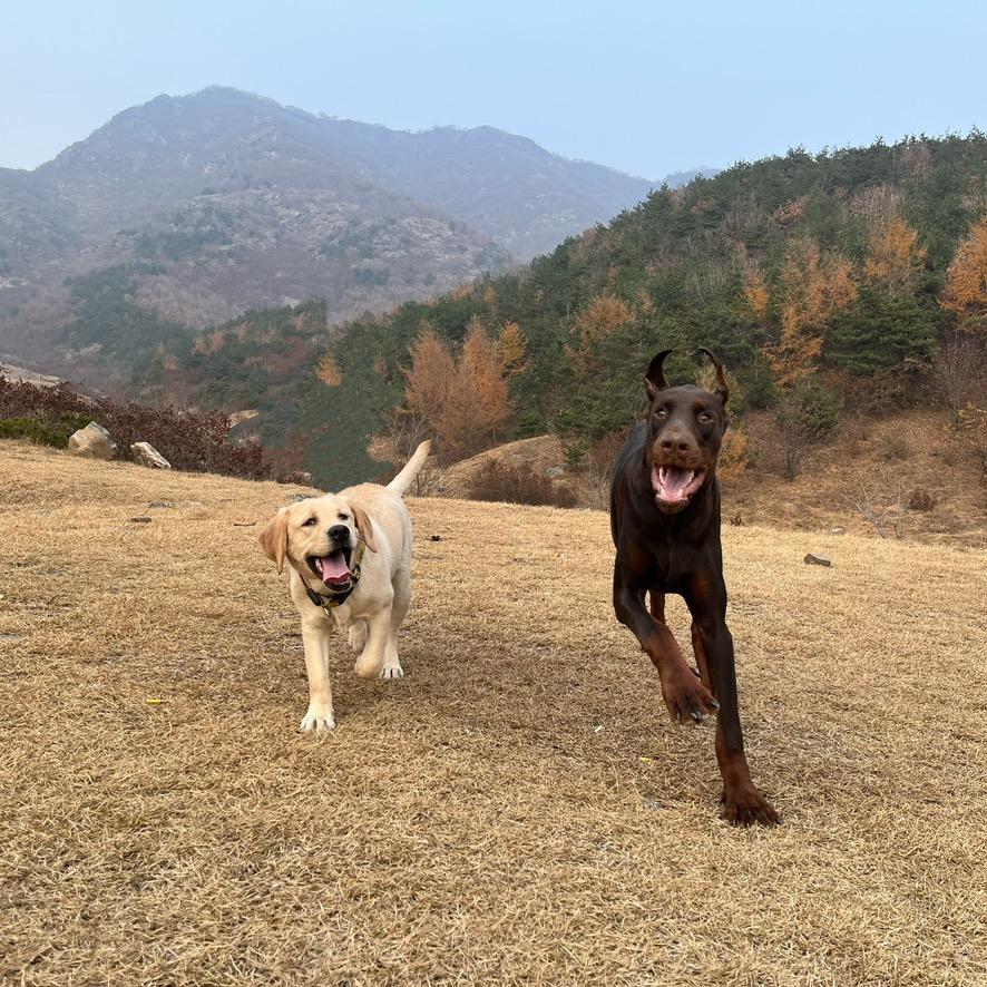 suki&浩克