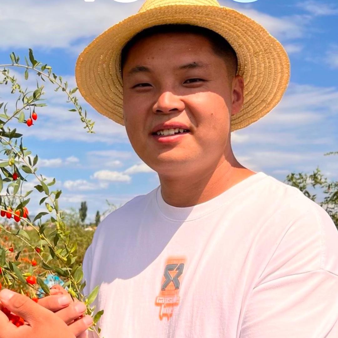 杞三哥滋补营养旗舰店