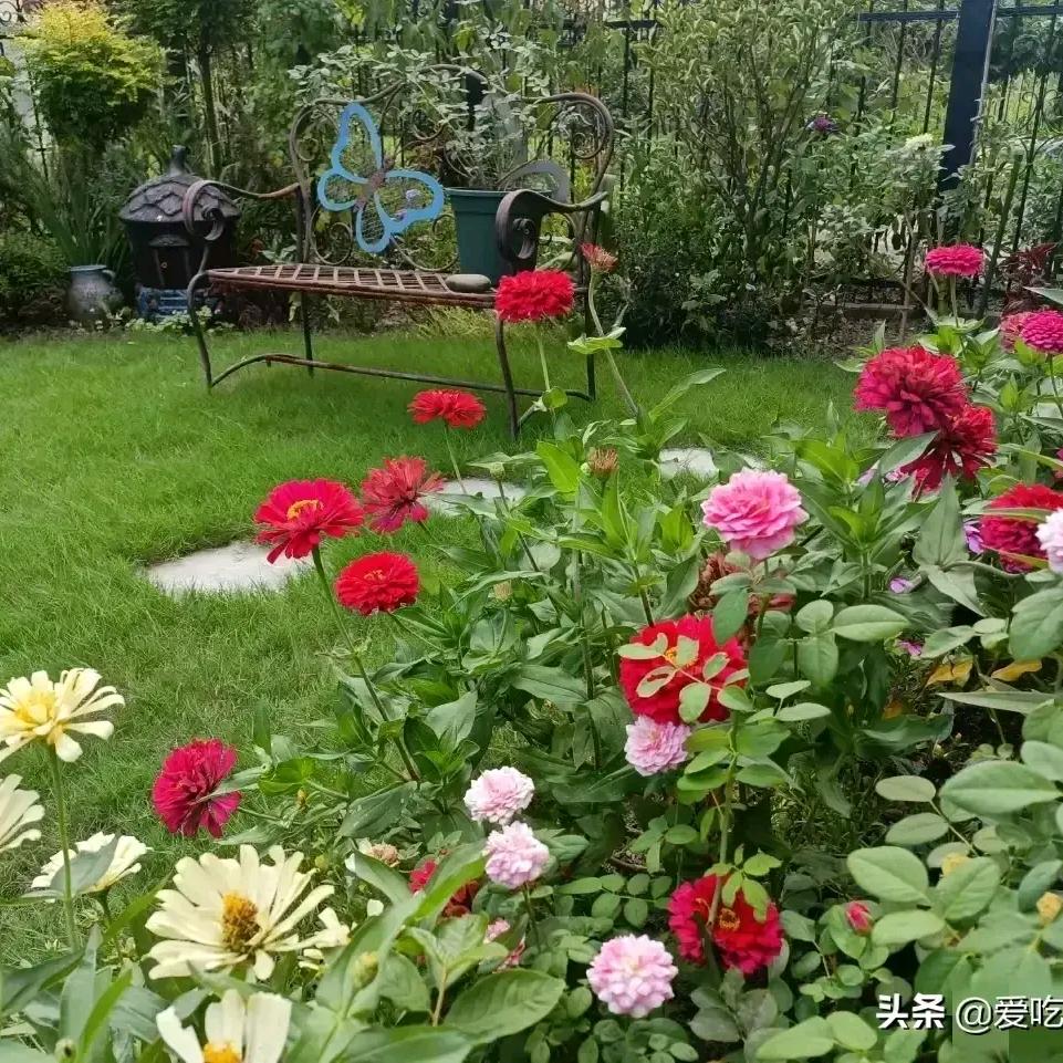 自由的🌷🌷🌷自由💕✨💕为你加油