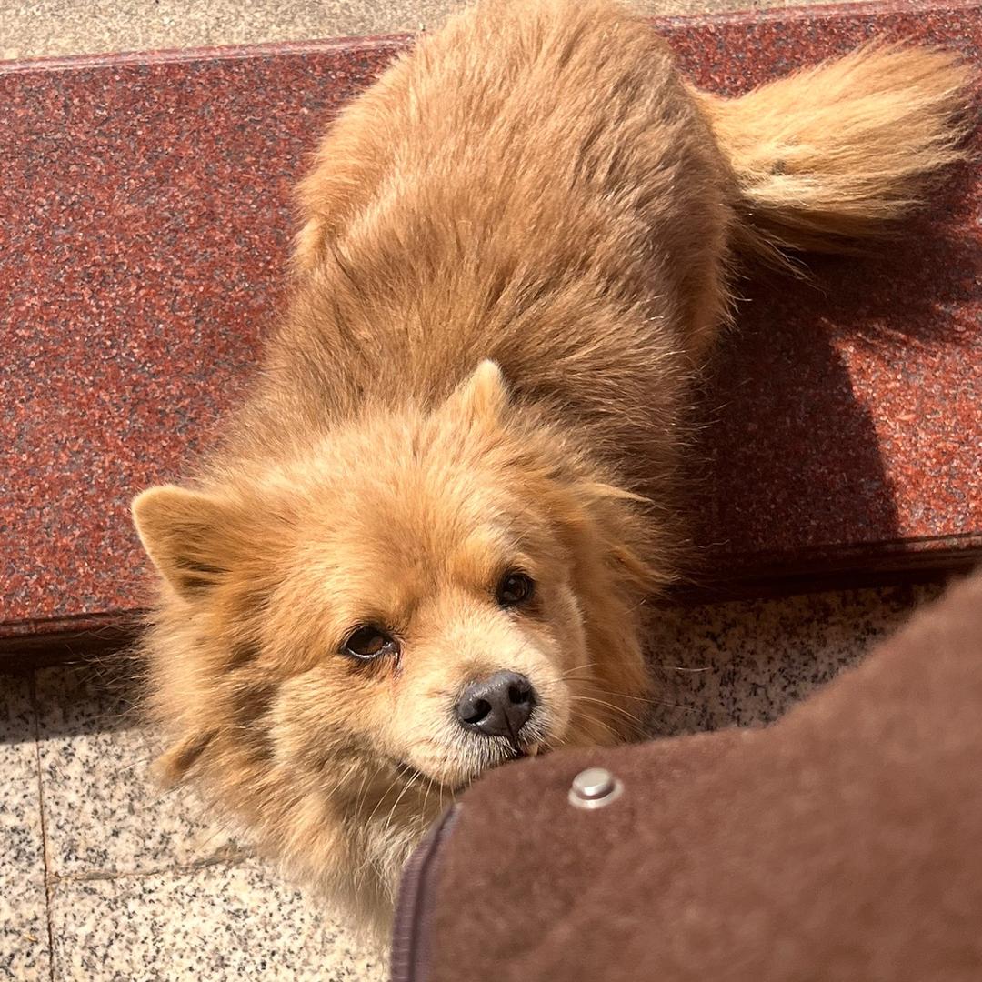 自在独行