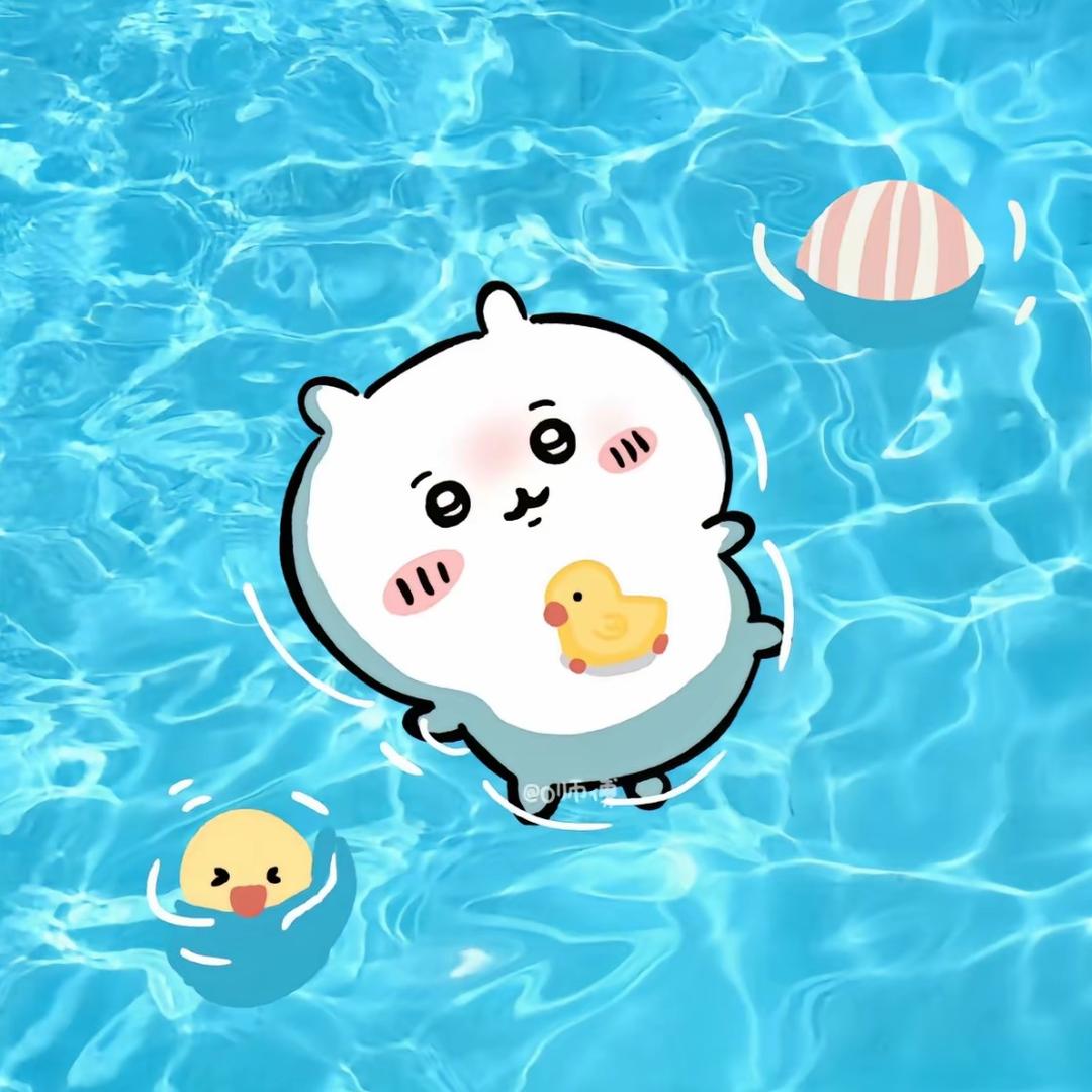 小猪包