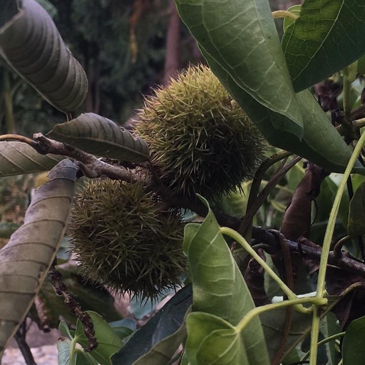 既往不咎