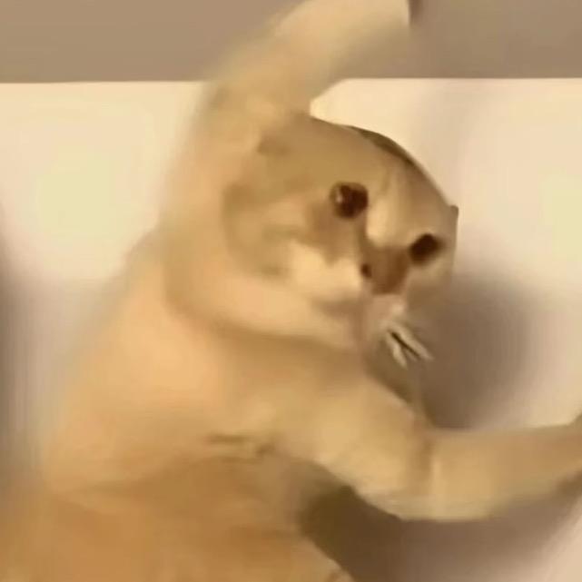 不是乔治