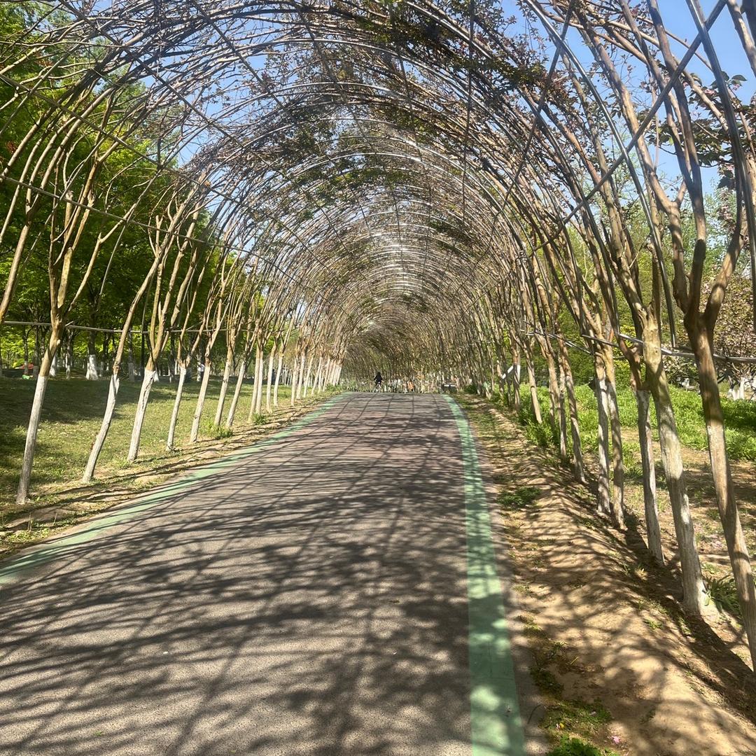 苏北小城睢宁优选