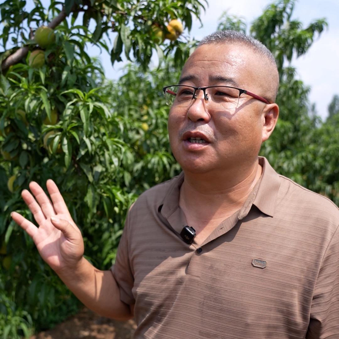 水木金华家庭农场李四