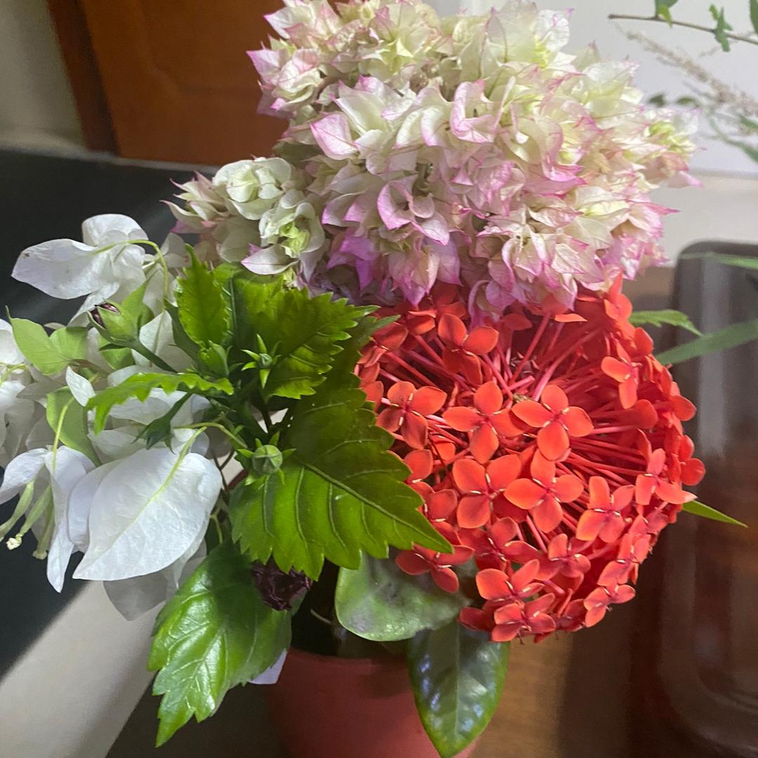 锦上添花