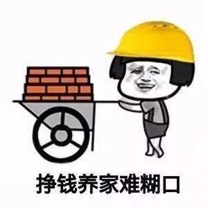 欢乐度网
