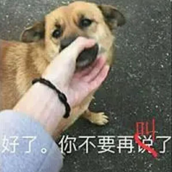 今晚必吃炸鸡蛋