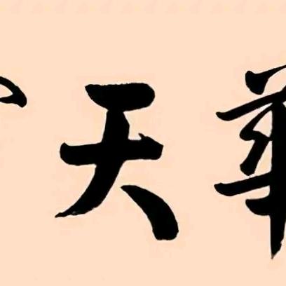 橄榄树