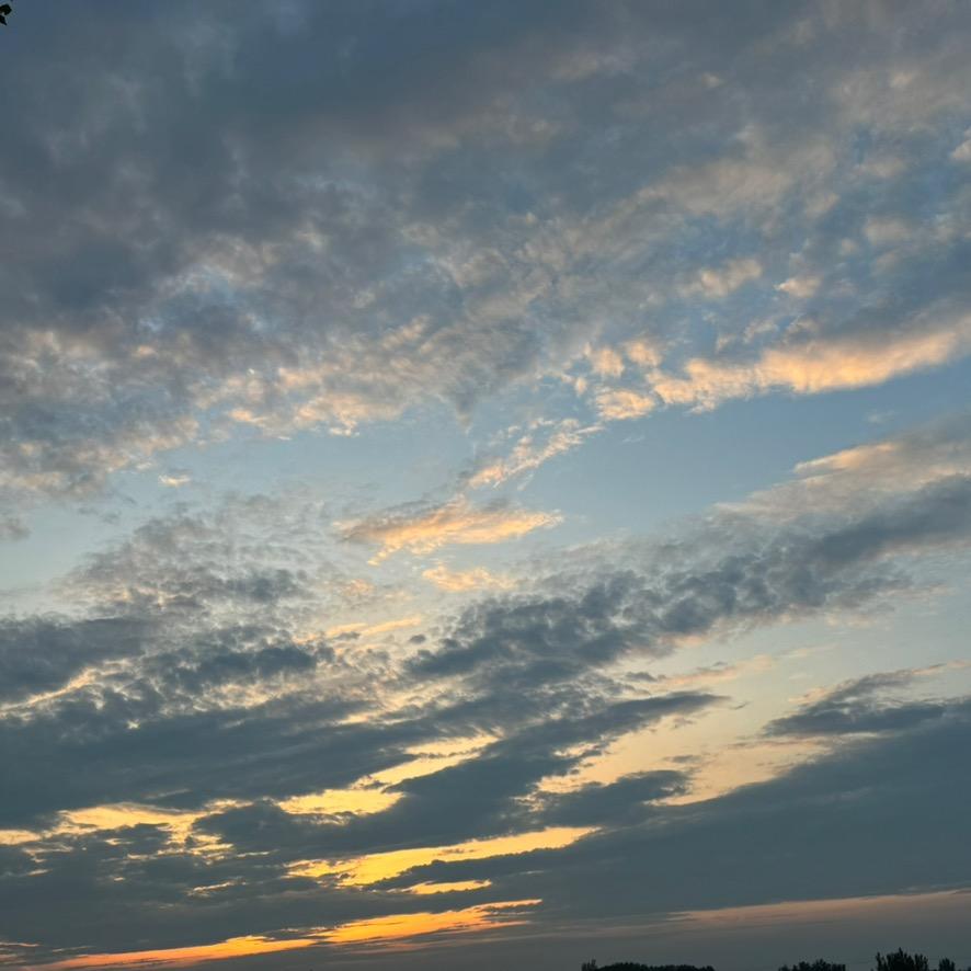 野猪🐗逆袭记（备战中考高考）