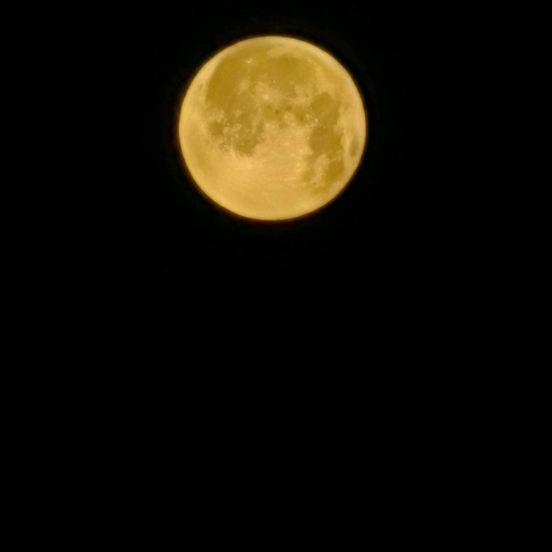 ৡ᭄2025禾乃🐾᭄