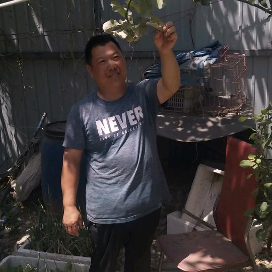 杨华伟