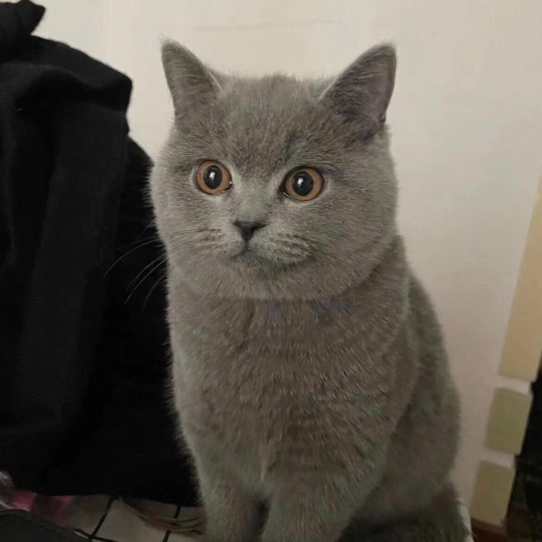 哈哈哈哈哈哈哈哈哈哈哈