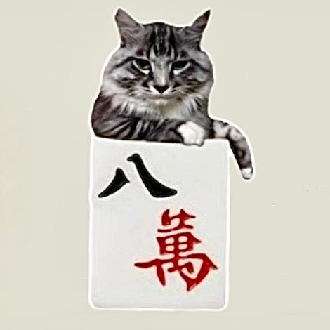 灵宝市八萬棋牌室