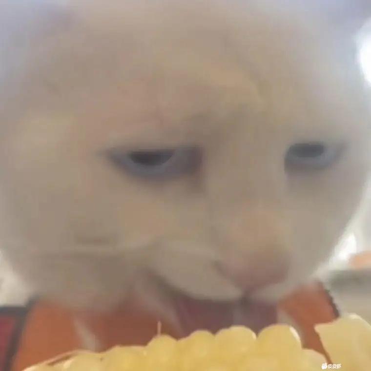 薇咪