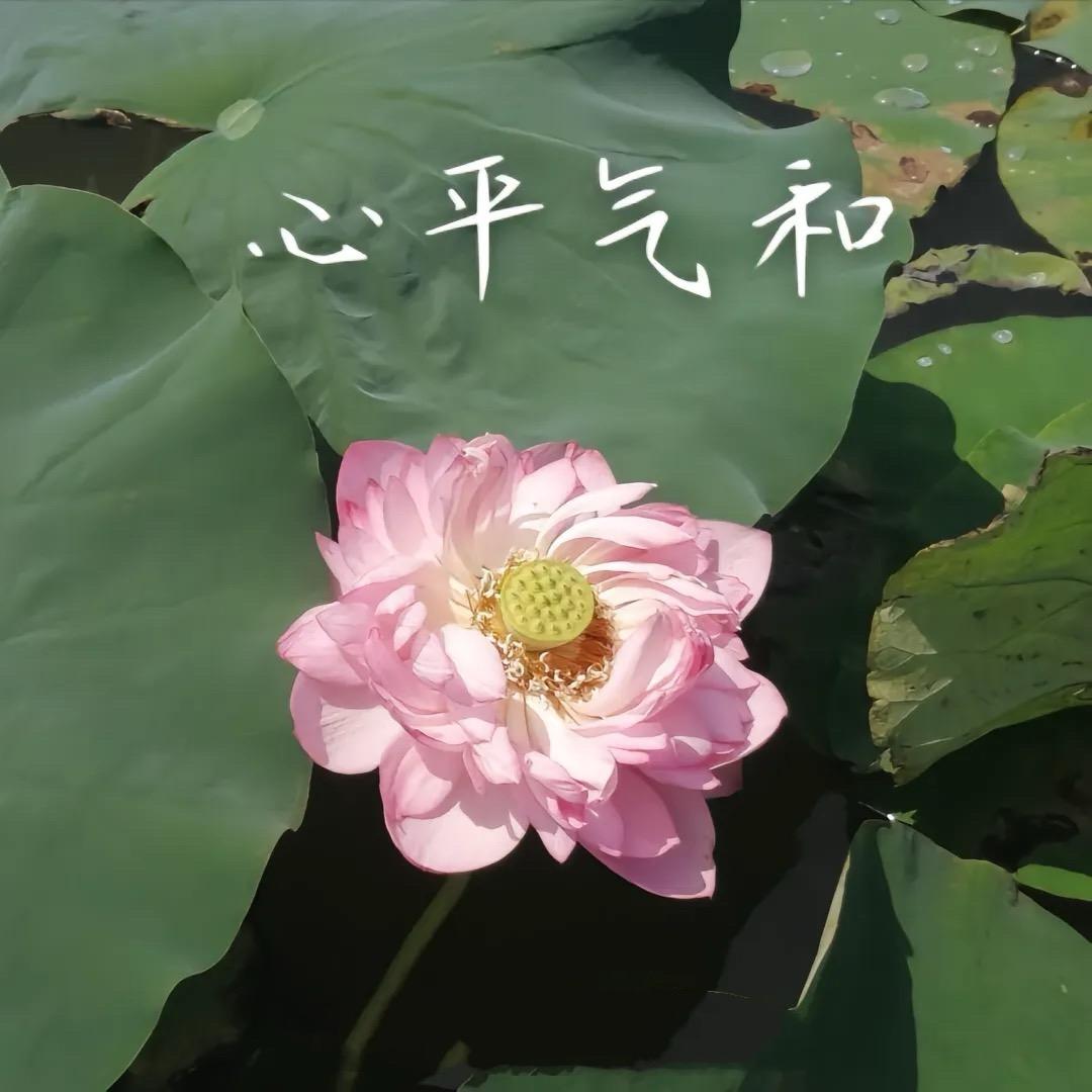 相亲相爱一家人