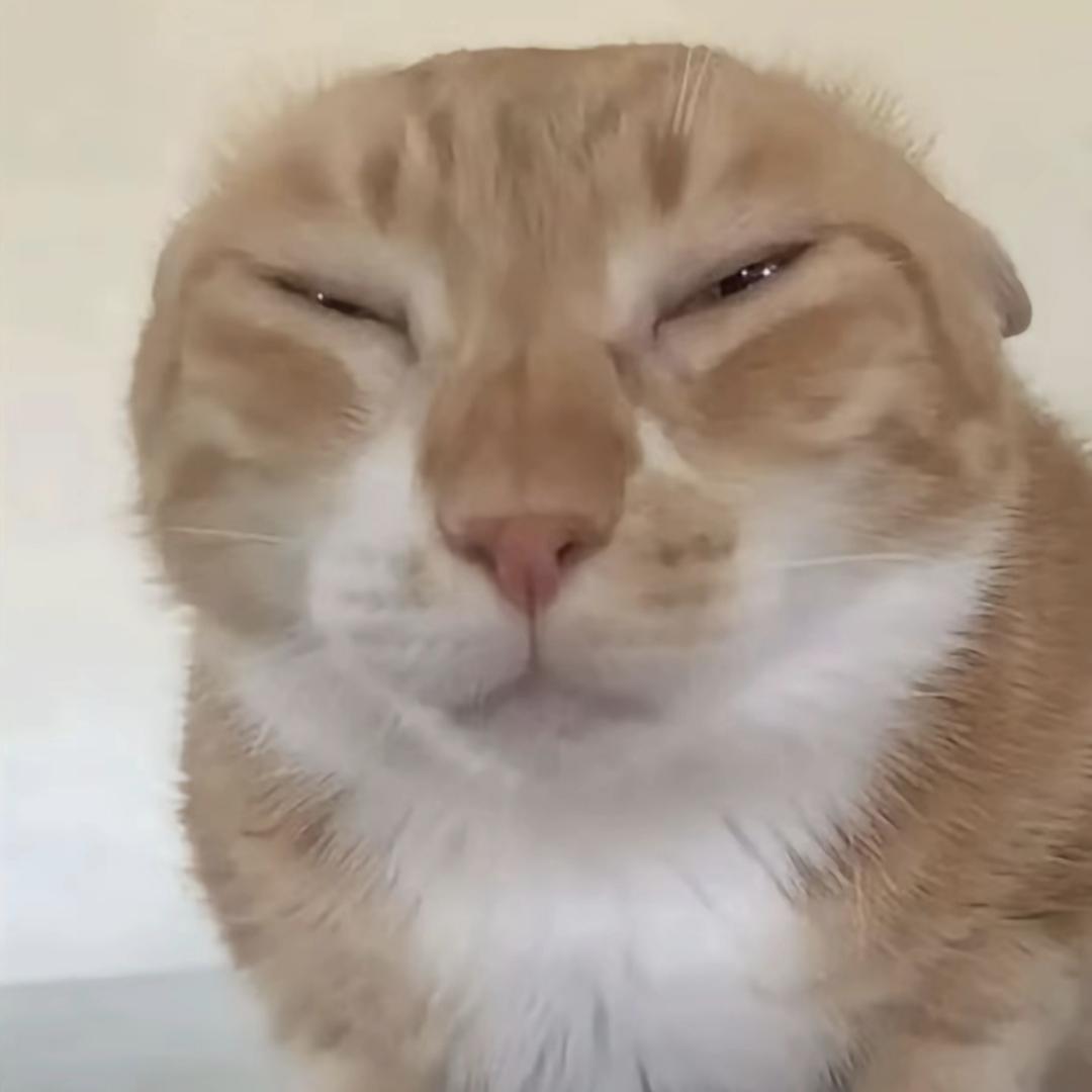 卧龙
