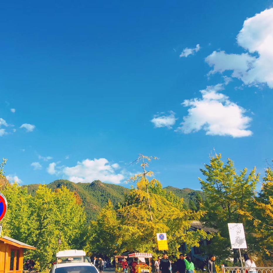 云南以北滋补堂