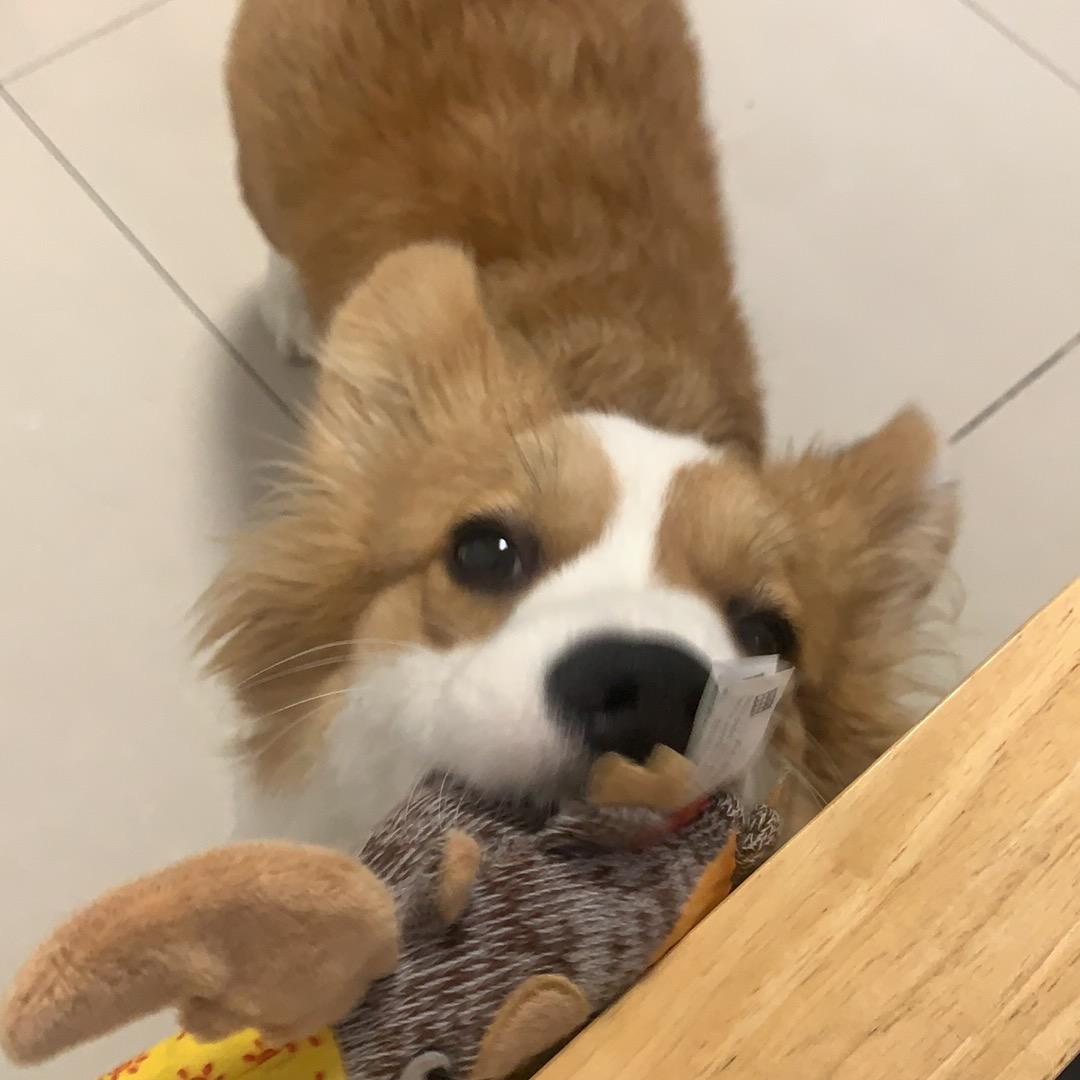 纯真