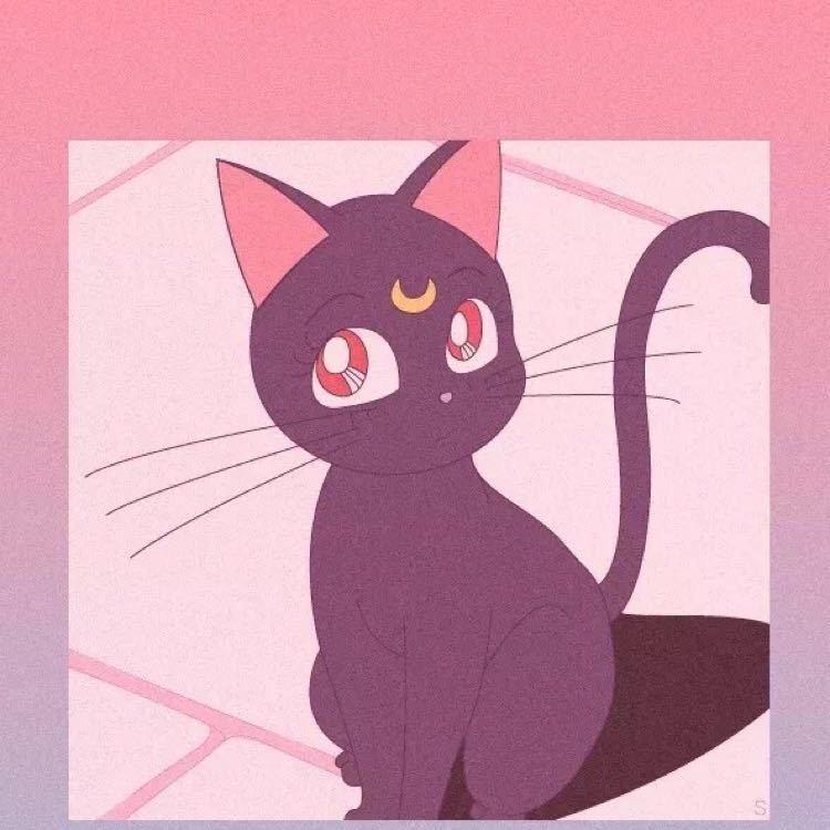 柚子有什么不对