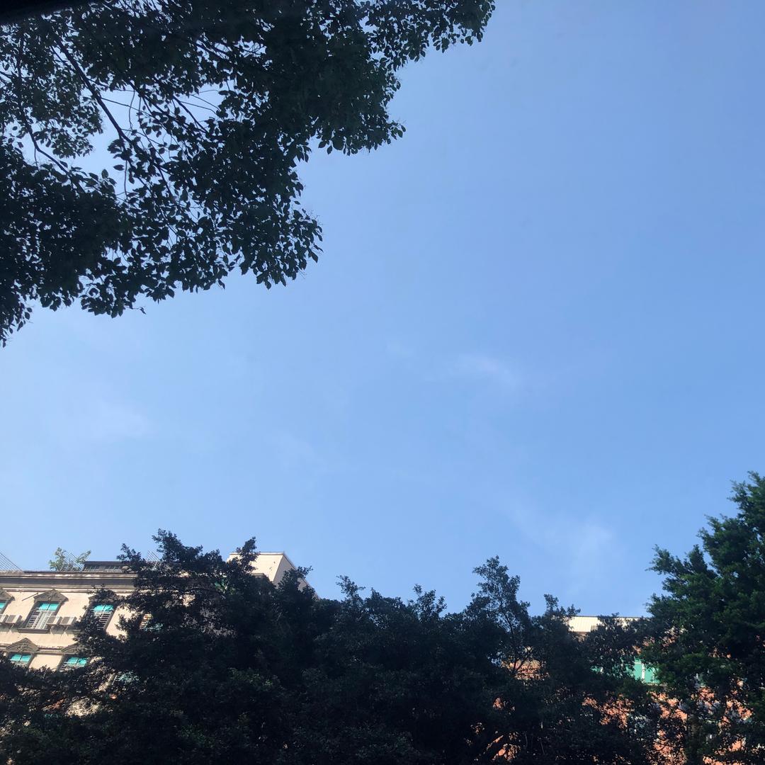 哲学