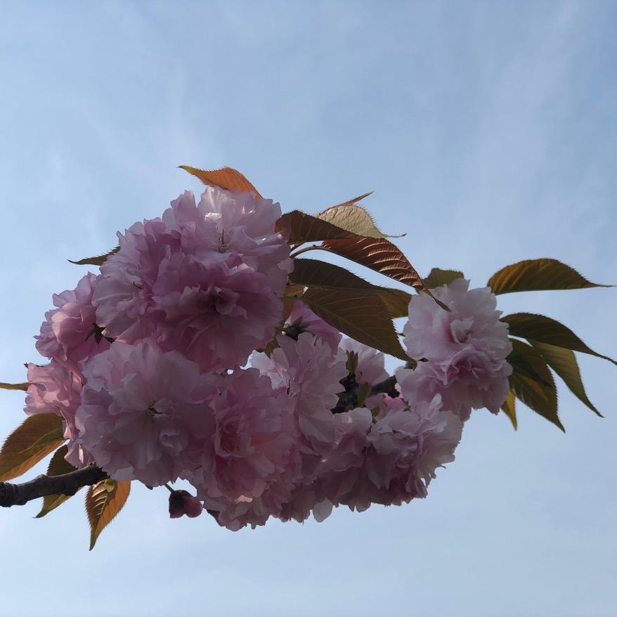 用户8486015272310随风听雨