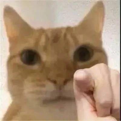 坏舅妈