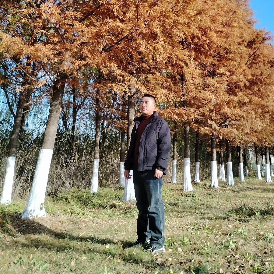 小情歌