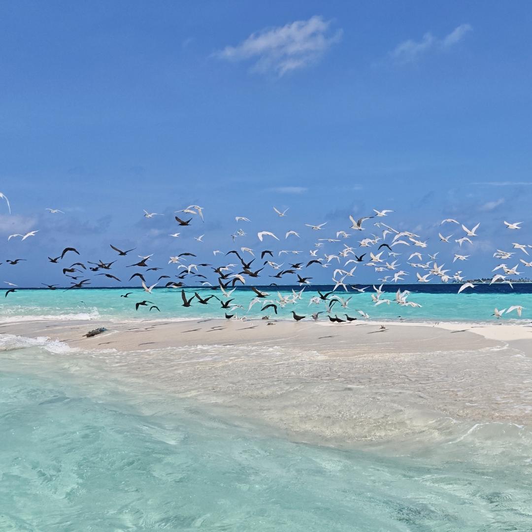 假怀孕娱乐整蛊方法