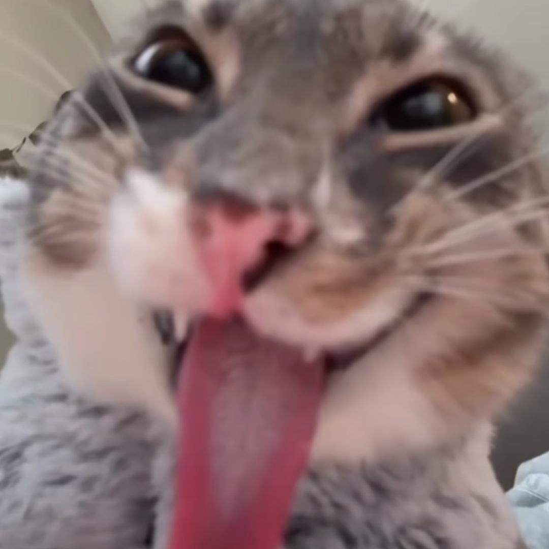 绘语说漫