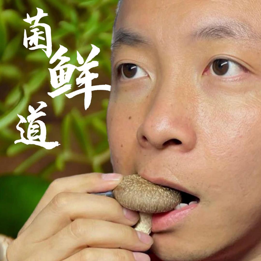 菌鲜道-活体菌菇-董斌