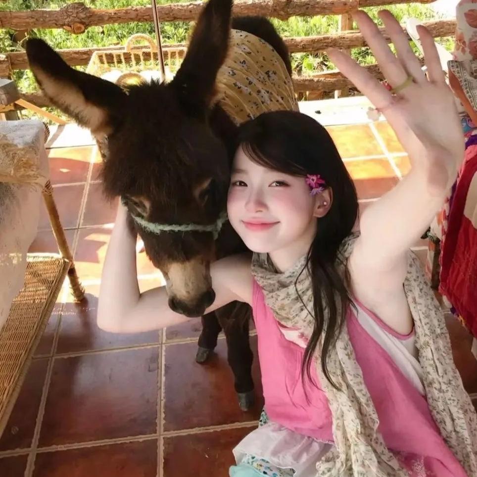 - ̗̀ ♡  🎀 ♡  ̖́-