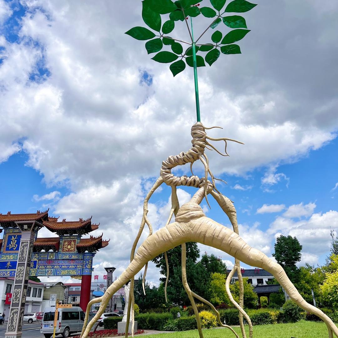 长白山参大大滋补行