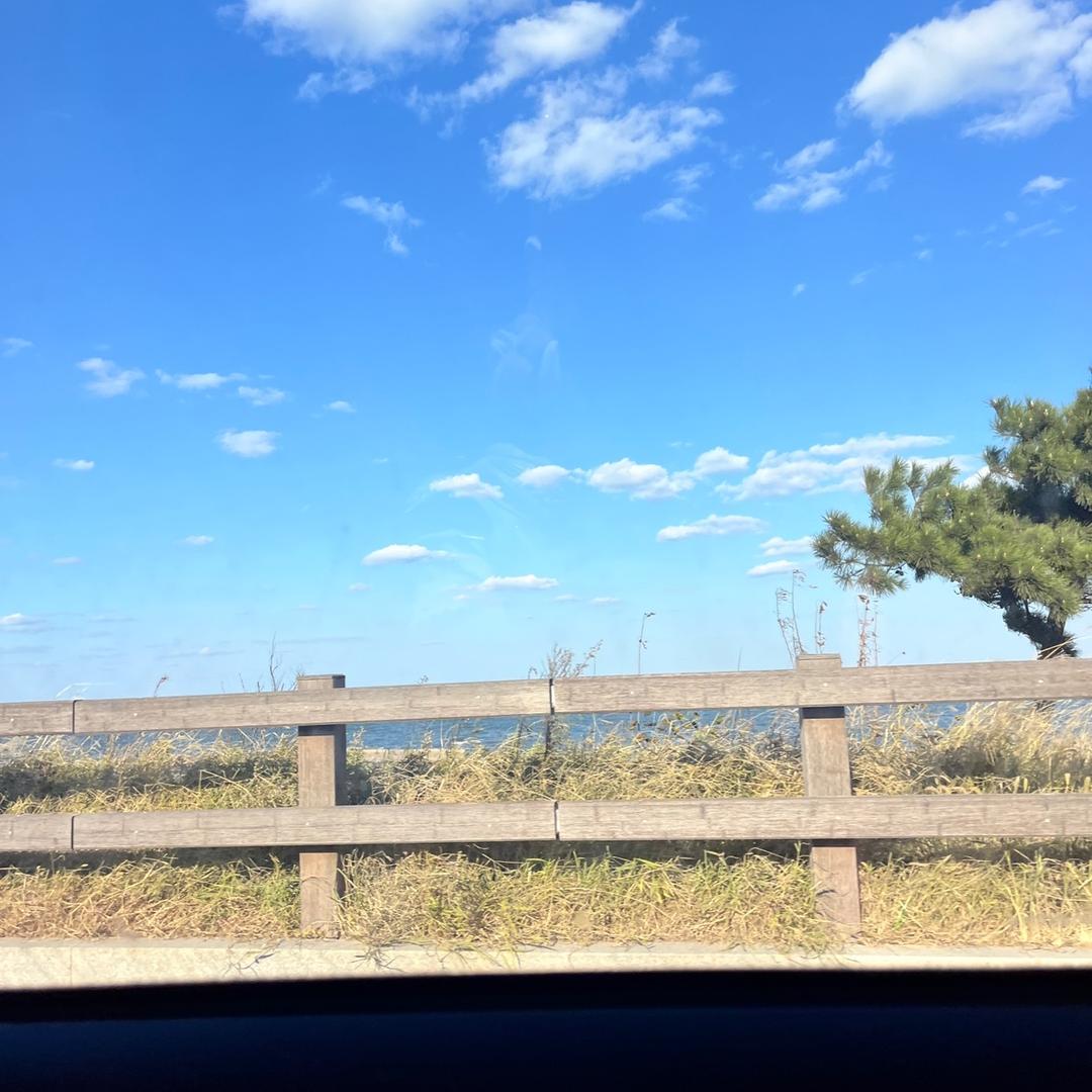 逆夏