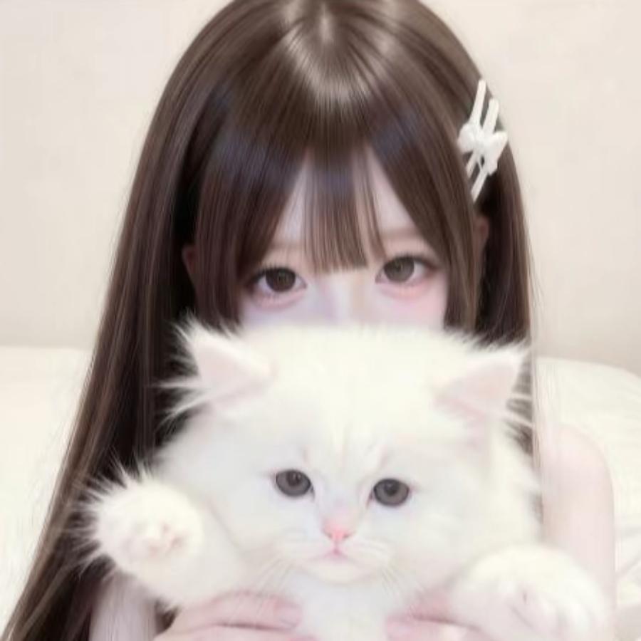 呆呆
