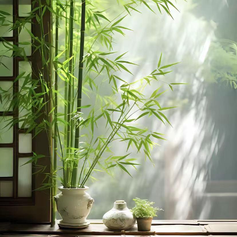 富竹轩