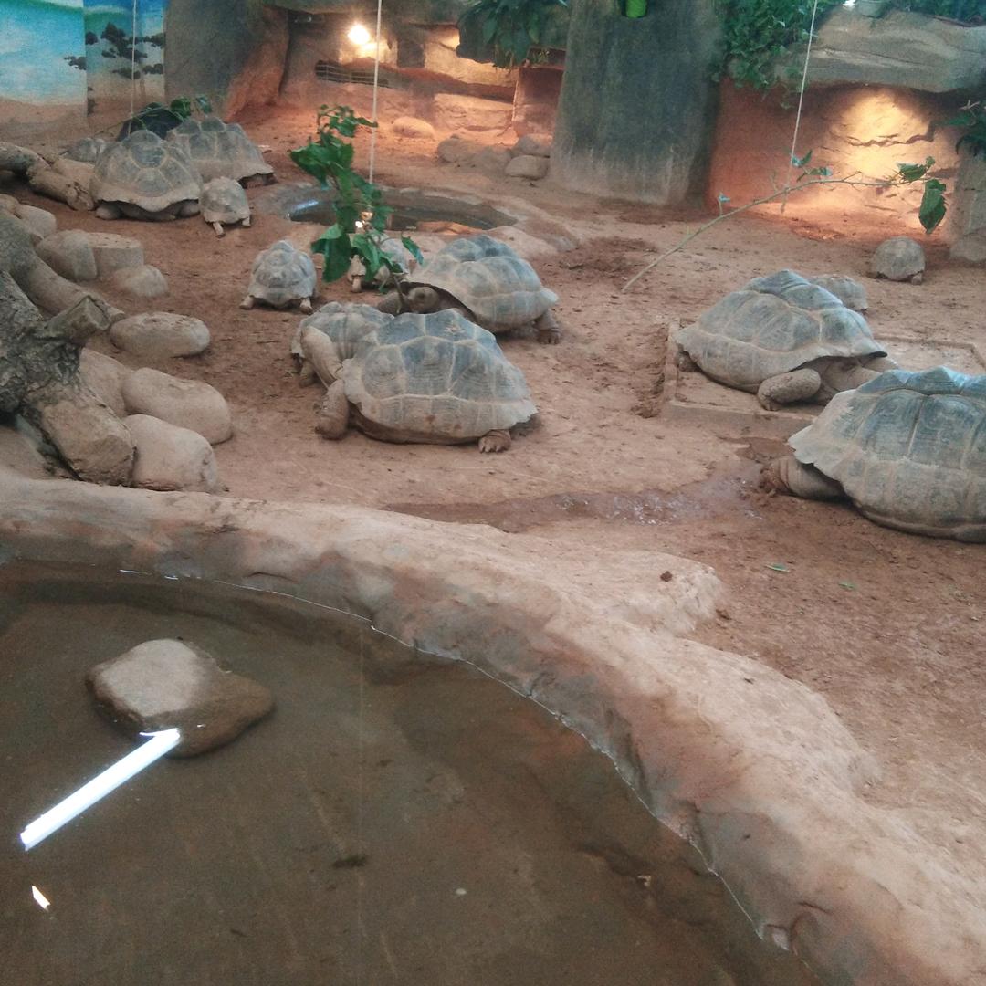 要一个人闯到江湖活着快乐